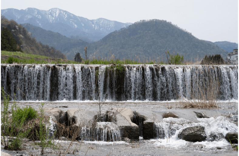 最上川　庄内　自然