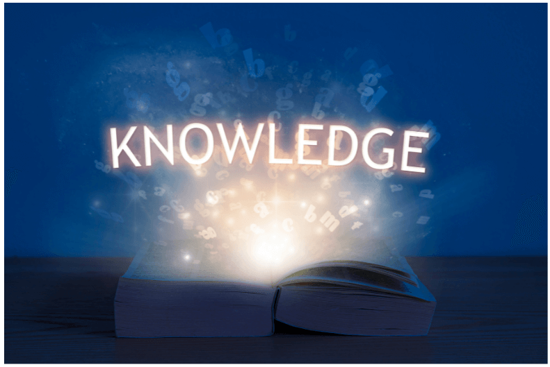 ナレッジ教育　ベテラン